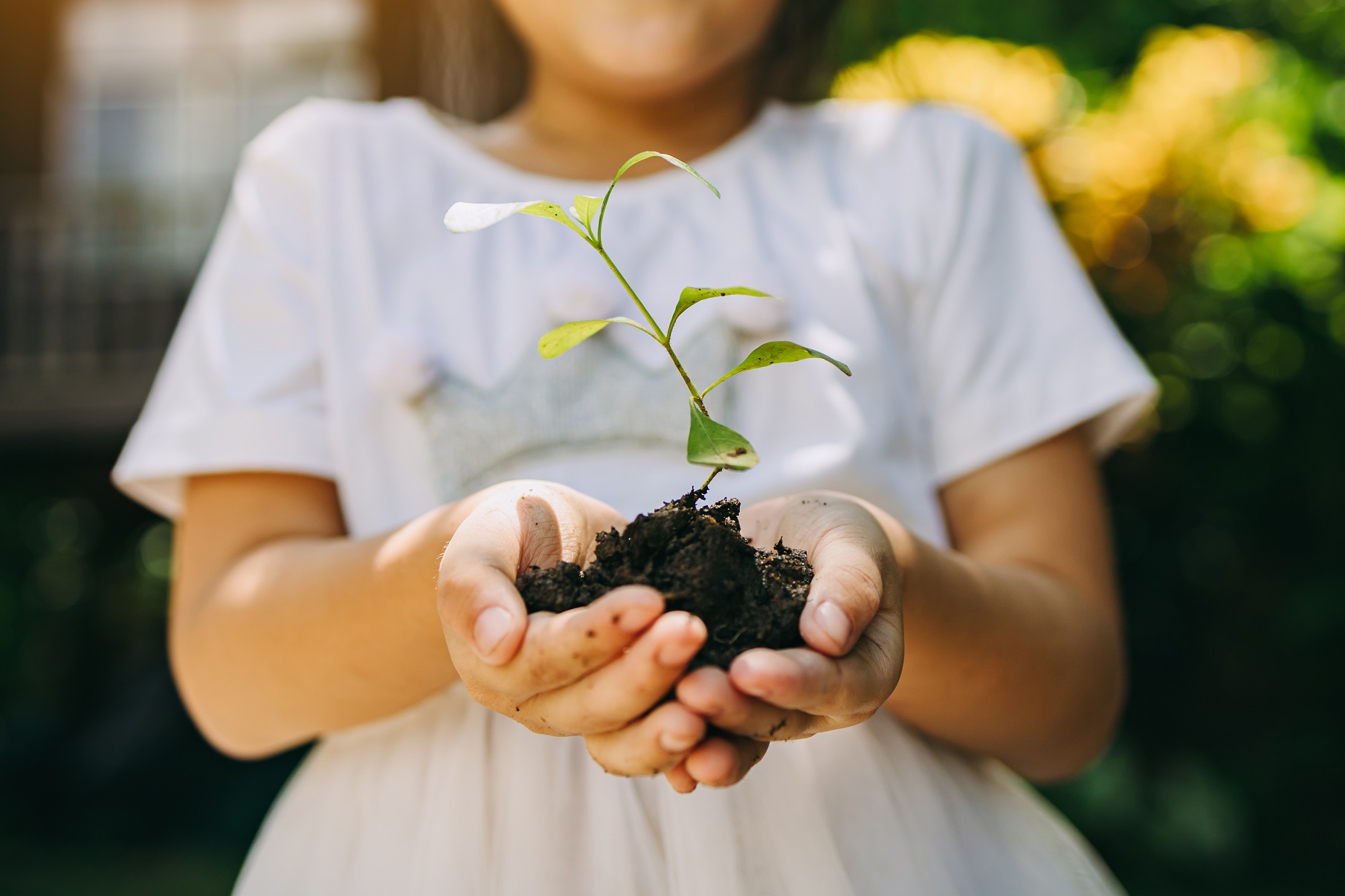 Sustainable Development Goals – A way to a Green World