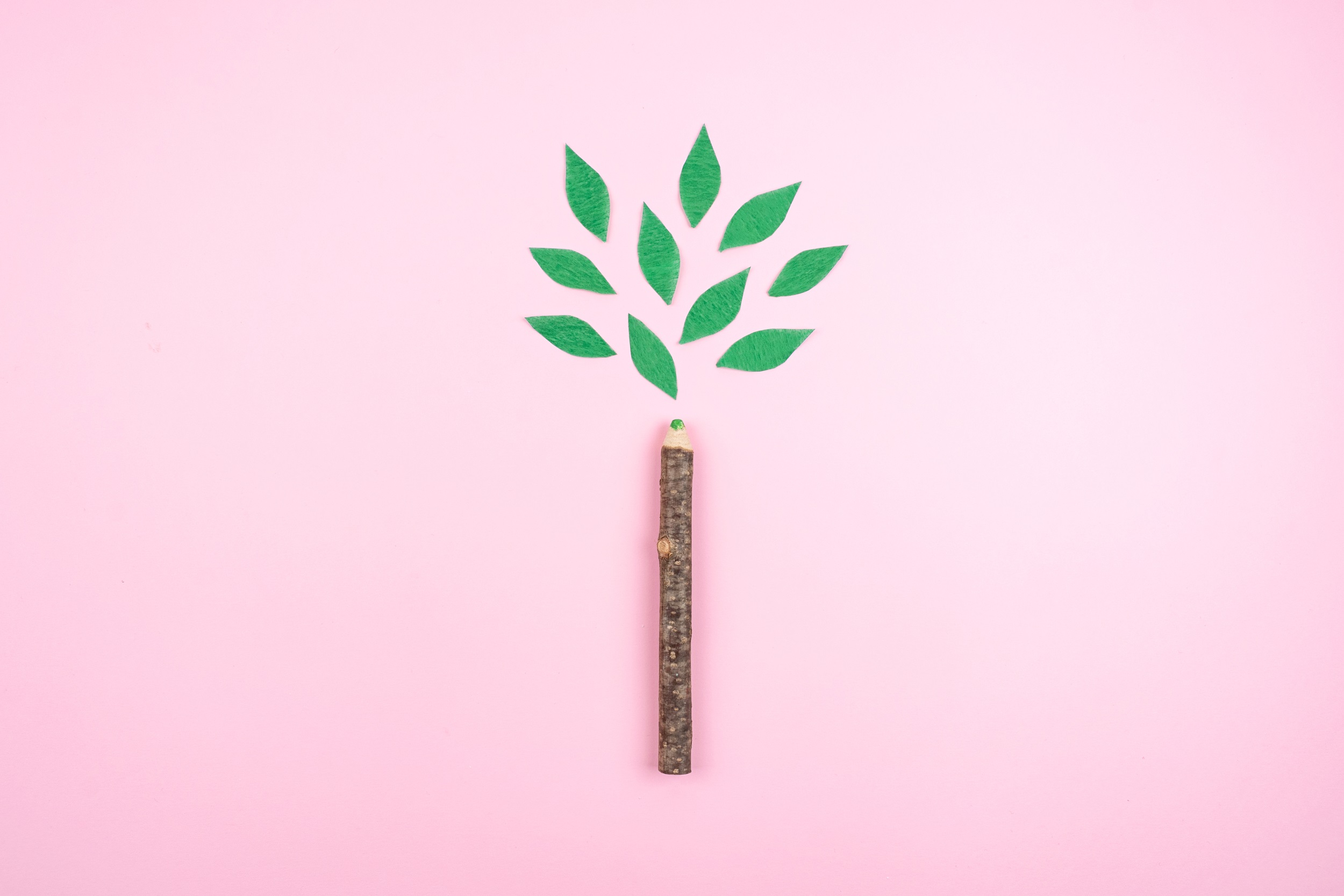 Corporate Sustainability