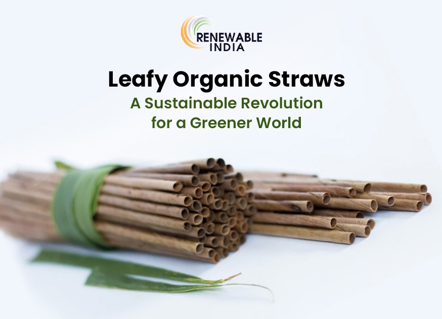 Leafy Organic Straws – A Sustainable Revolution for a Greener World