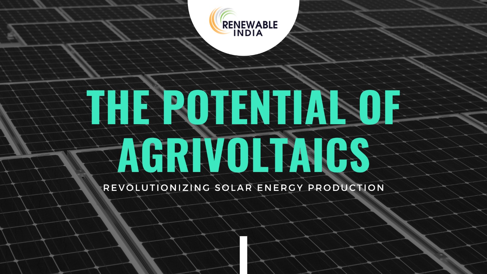 The Bright Future of Solar Energy – Overcoming Hurdles with Agrivoltaics