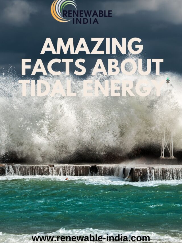 Know About Tidal Energy And It’s Fact