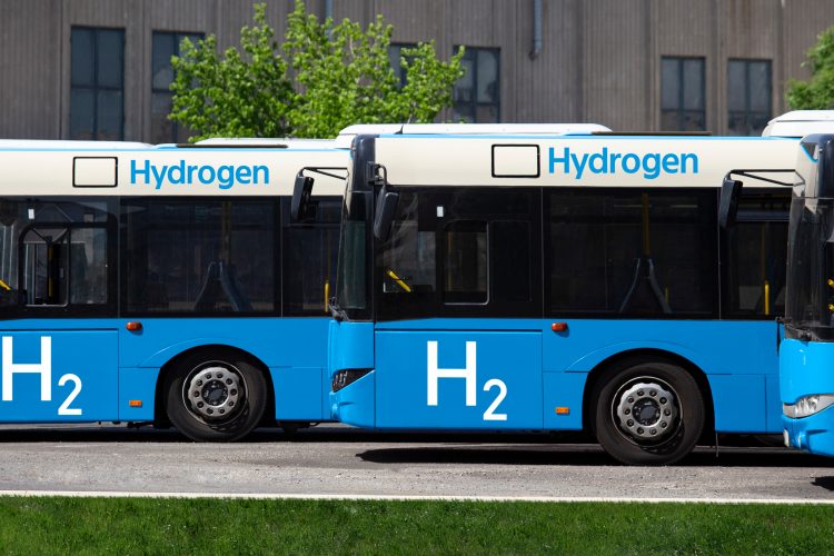 India's Green Hydrogen Revolution Takes Center Stage