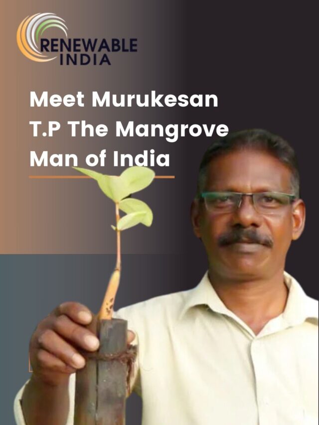 The Mangrove Man of India: Reviving Life on Kochi’s Vypin Islands