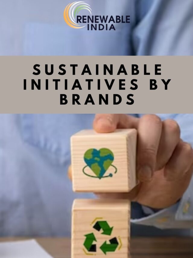 India Packs a Punch: Embracing Sustainable Packaging in a Booming Market