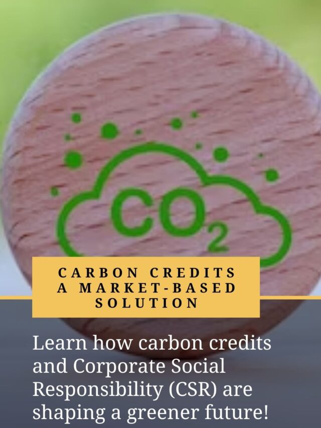 Carbon Credits and Corporate Social Responsibility: A Powerful Duo for a Sustainable Future