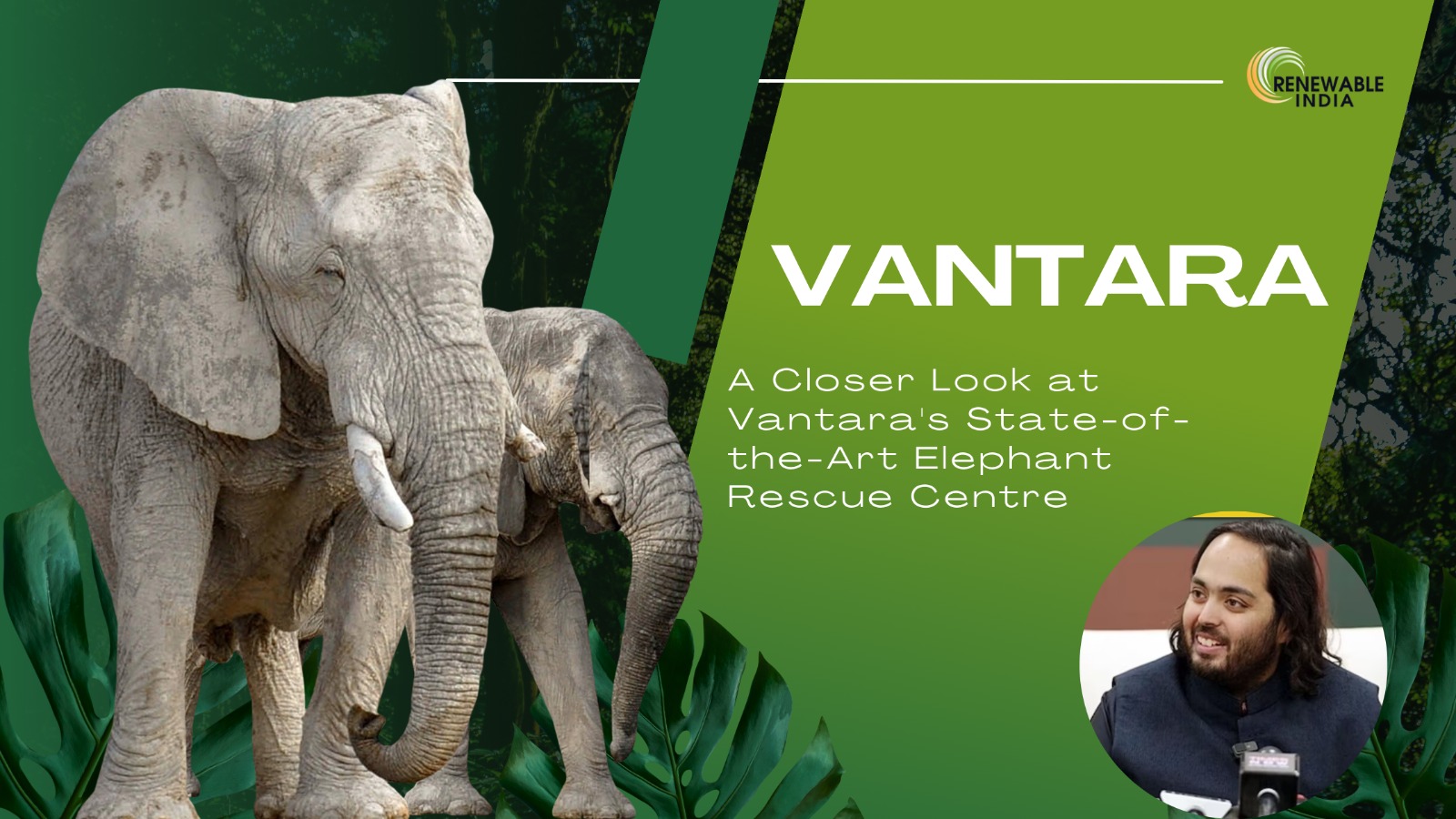 Vantara: Anant Ambani’s Visionary Wildlife Preservation Project